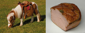 ponyleberkäse s.p